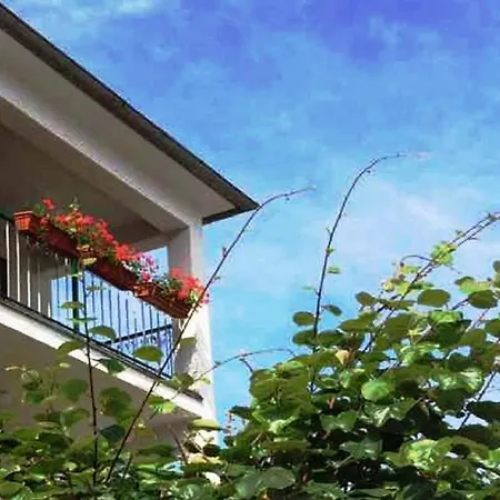 Apartment Molo Grande *