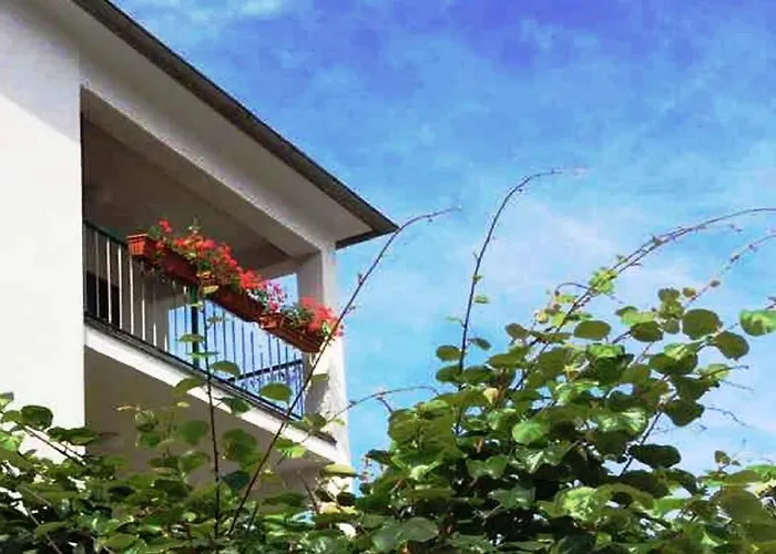 Apartment Molo Grande *